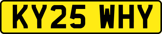 KY25WHY
