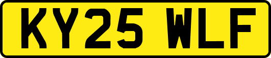 KY25WLF
