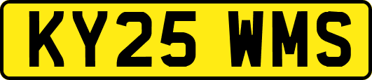 KY25WMS