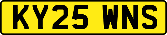 KY25WNS