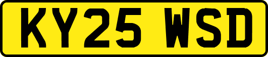 KY25WSD