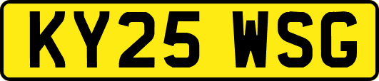 KY25WSG