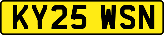 KY25WSN