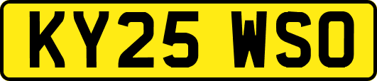 KY25WSO