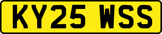 KY25WSS