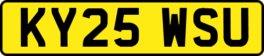KY25WSU