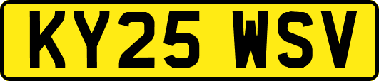 KY25WSV
