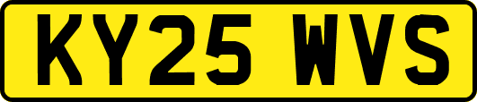 KY25WVS