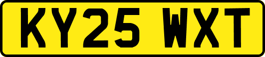 KY25WXT