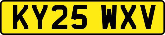KY25WXV