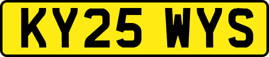 KY25WYS