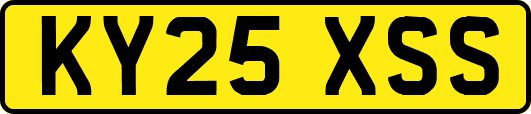 KY25XSS
