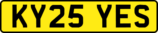 KY25YES