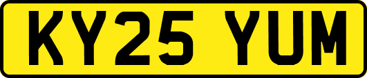 KY25YUM