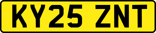 KY25ZNT