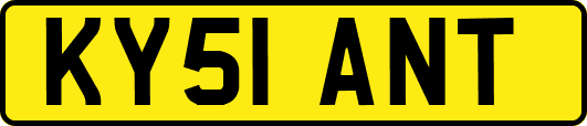 KY51ANT