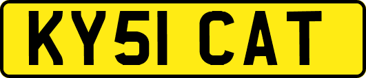 KY51CAT
