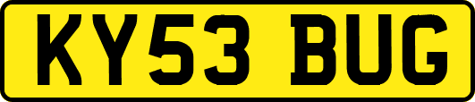 KY53BUG