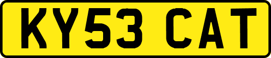 KY53CAT