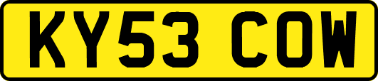 KY53COW