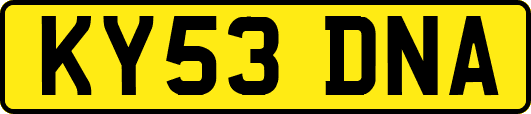 KY53DNA