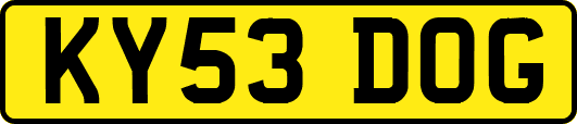 KY53DOG