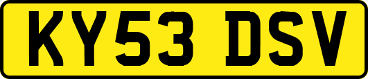 KY53DSV