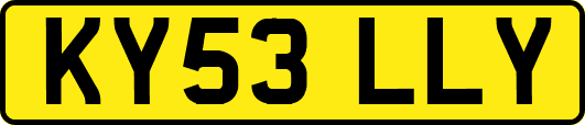 KY53LLY