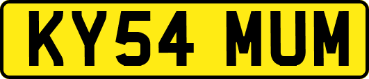 KY54MUM