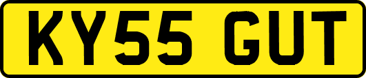 KY55GUT