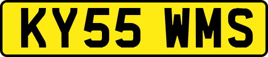 KY55WMS