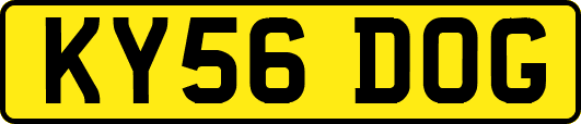 KY56DOG
