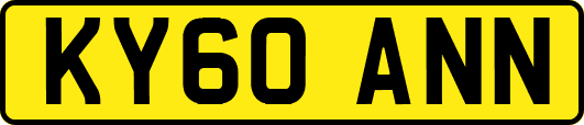 KY60ANN