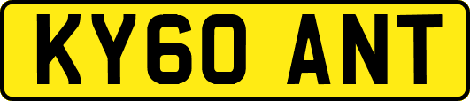 KY60ANT