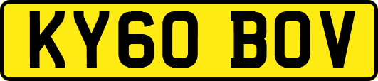 KY60BOV
