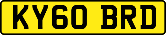 KY60BRD