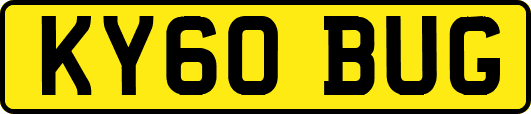 KY60BUG
