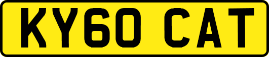 KY60CAT