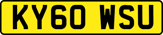 KY60WSU