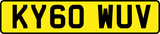 KY60WUV
