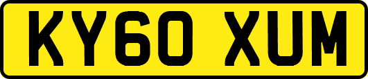KY60XUM