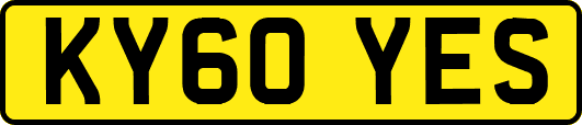 KY60YES