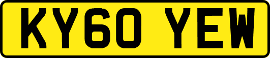 KY60YEW