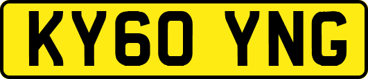 KY60YNG