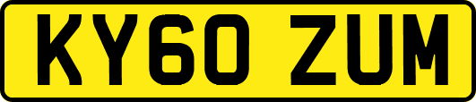 KY60ZUM