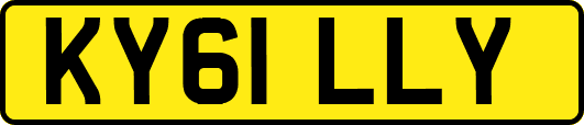 KY61LLY