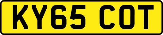 KY65COT