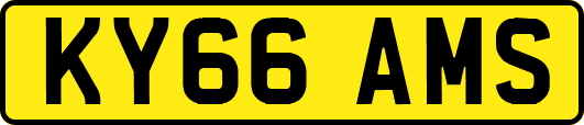 KY66AMS