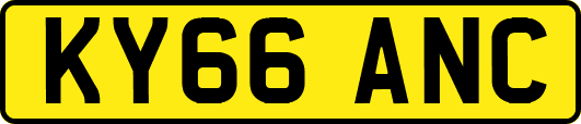 KY66ANC