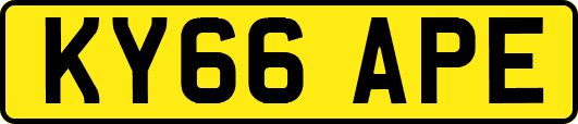 KY66APE